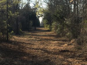 JWHIT Construction, LLC in Huntsville, TX - Image of a land with trees