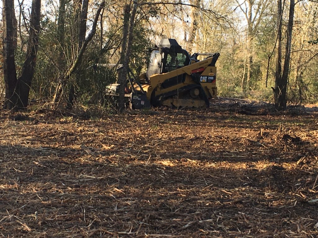 Forestry Mulching