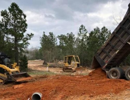 Land Clearing Services – Better Get Pros For This Job!