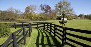 JWHIT Construction, LLC in Huntsville, TX - Image of JWhit Construction Livestock Fencing