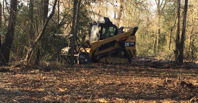 Forestry Mulching